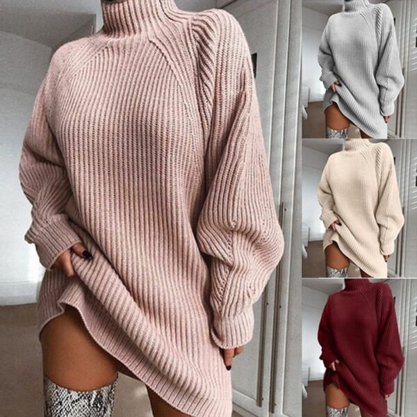 Solid Turtleneck Warm Sweater Dress